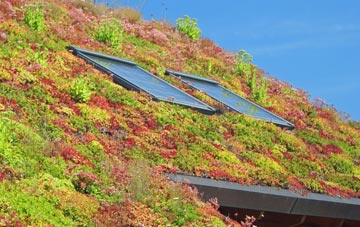 Killeague living roof systems